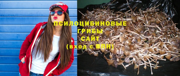 герыч Аркадак